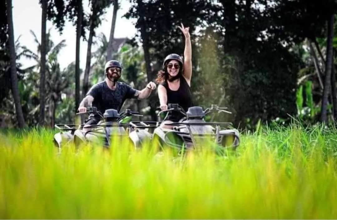 Two riders on ATVs on a track beside the rice fields