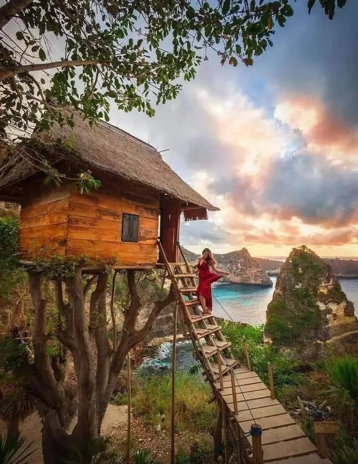 The cliff-edge tree house above the sea on Nusa Penida