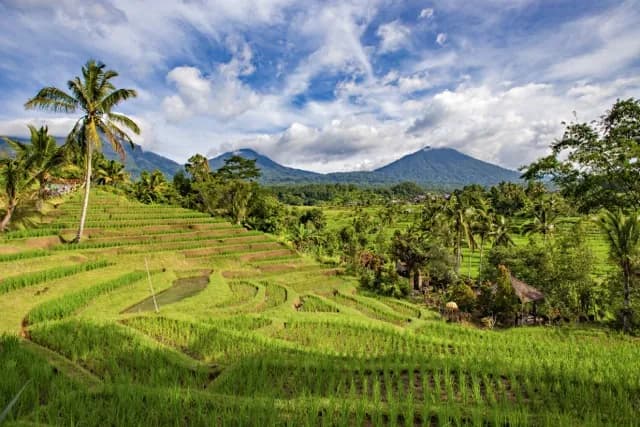 Tanah Lot Temple Tour in Bali