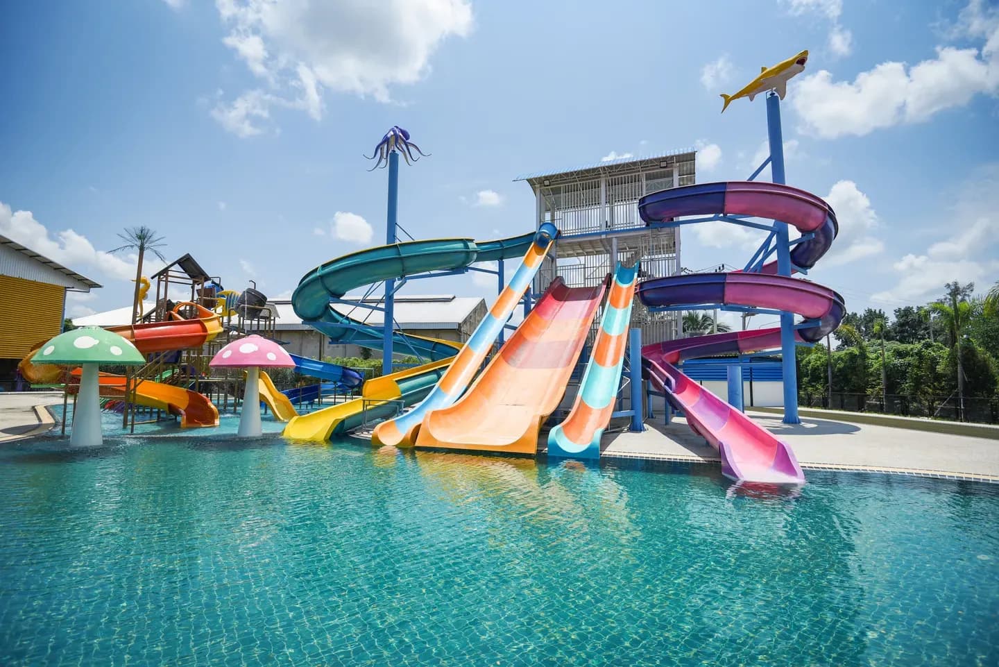 Water Bom slides