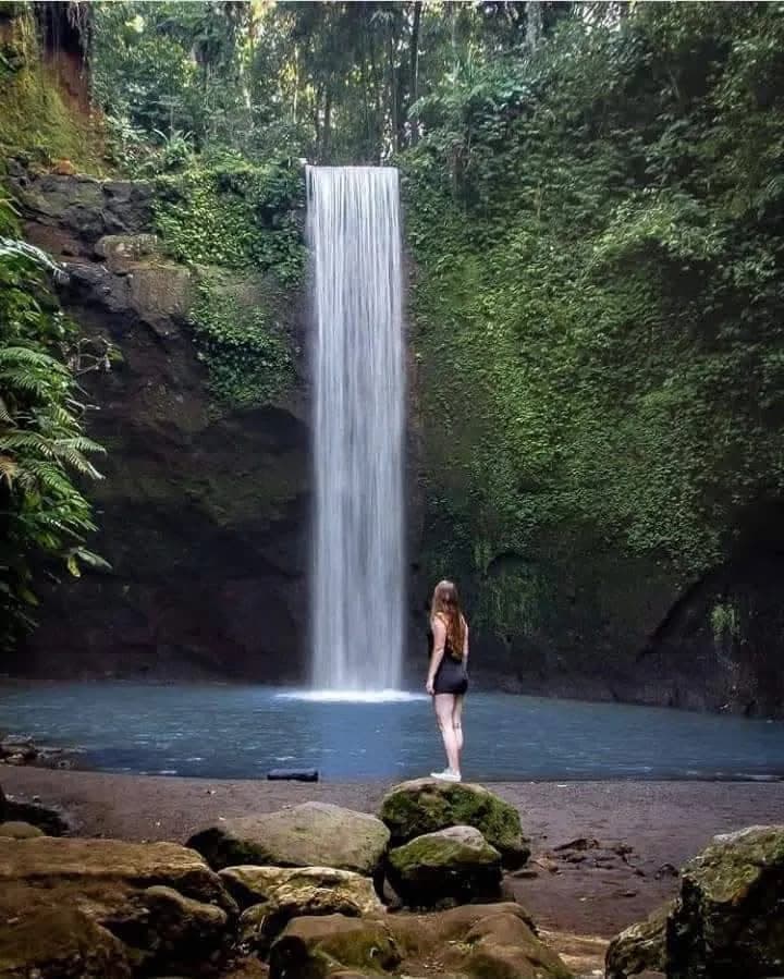 A tall jungle waterfall in Bali